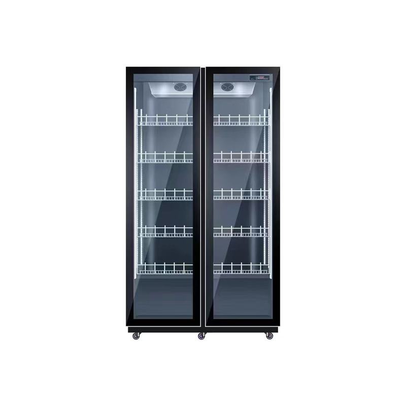 Wine Beer Dual Zone - Doppeltüriger Luftkühlungskühlschrank, Getränkevitrine, verstellbare Regale, Wein,